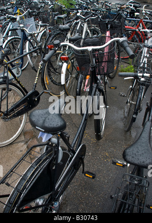 bicycles parked on Esplanaden Copenhagen Stock Photo