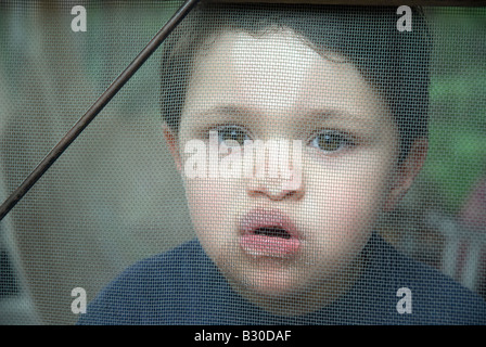 Three year old boy pushes his nose up against a door screen, New Hampshire