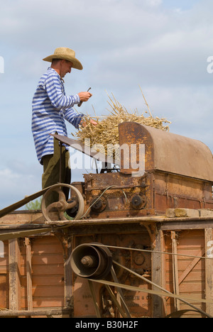 French farmer feeding corn into old thresher at agricultural show, Indre, France. Stock Photo