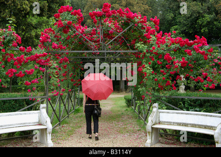 woman seen from behind walking with a red umbrella through a pergola with red roses Stock Photo
