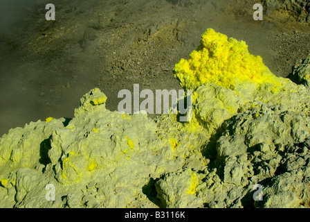 Thermal Fumarole field about volcano Mendeleev, Kunashir island, Kurils islands, Far East of Russia Stock Photo