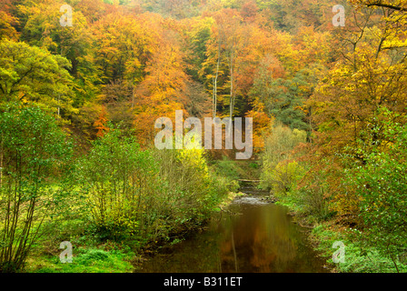 river Eltz (Germany) in autumn with trees showing fall colours Stock Photo