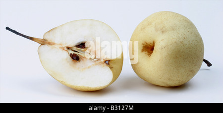 Pyrus pyrifolia, Shinseiki Asian pear, Asian pear Stock Photo