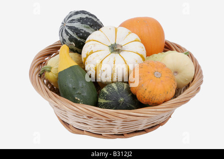 Cucurbita pepo convar. microcarpina, ornamental pumpkin Stock Photo