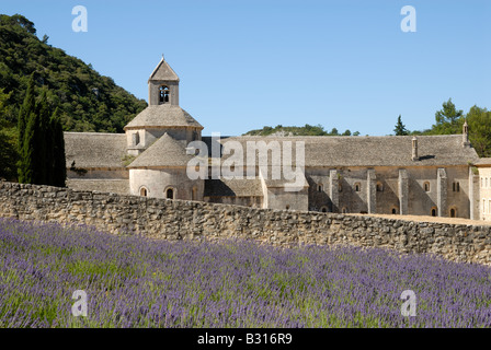 Senanque Abbey in the Provence southern France Stock Photo