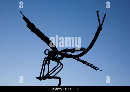 Dragonfly Silhouette Stock Photo