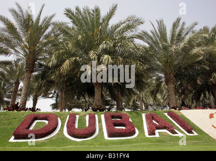 Inscritpion Dubai under palms Stock Photo