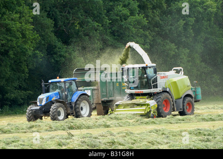 Silage cutting and forage harvesting pastureland for winter cattle feed on Parkhurst Farm in West Sussex Stock Photo
