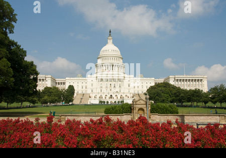The US Capitol Building, legislative center of the US government, with red flowers in Washington, DC. Stock Photo