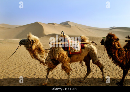 Desert scene in the Gobi desert Stock Photo