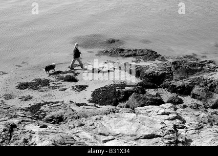 Woman walking pet dog along rocky beach in New Haven Connecticut Stock Photo