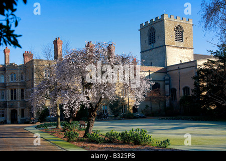 Jesus College entrance gate Chapel and Cloisters University of Cambridge City Cambridgeshire England Britain UK Stock Photo