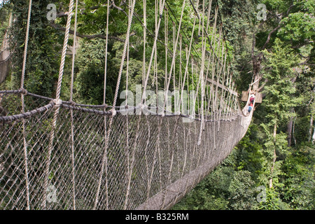 The 40 metre high canopy walk at Kakum National Park Ghana Stock Photo