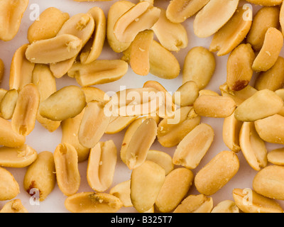 Repeating Pattern of Peanuts For Tile on White Background Stock Photo