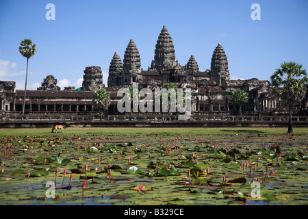 The temples of Angkor Wat near Seim Reap in Cambodia. Stock Photo