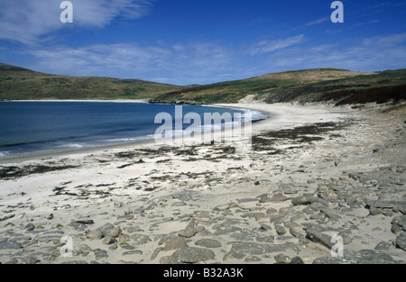 Falkland Islands are a self governing Oversea Territory of the United Kingdom. New Island is one of the island group, and is a Stock Photo