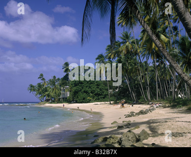 Gibbs beach Palm trees Beach sand Clear calm water Two swimmers people on sand MULLINS BAY WEST COAST BARBADOS Stock Photo