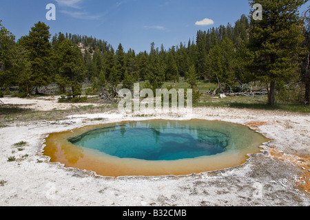 A HOT SPRING near NEZ PERCE CREEK is one of thousands of thermal features in the park YELLOWSTONE NATIONAL PARK WYOMING Stock Photo