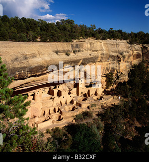 CLIFF PALACE, THE LARGEST ANASAZI CLIFF DWELLING IN MESA VERDE NATIONAL PARK, NEW MEXICO, USA Stock Photo