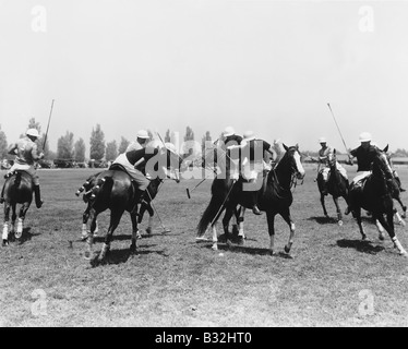 POLO MATCH Stock Photo