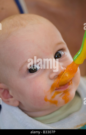 baby eats carrot mash Stock Photo