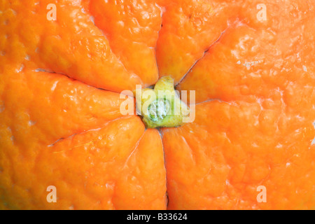 Orange, Citrus sinensis, orange Stock Photo
