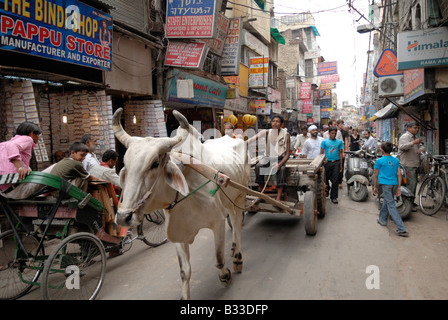 oxcart in the street of Delhi, India. Stock Photo