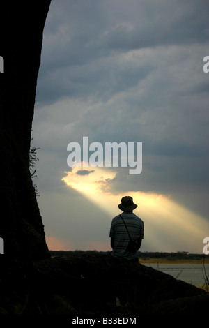 Silhouette of man sitting on tree root watching sunset Stock Photo