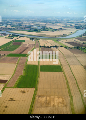 Crops Ready for Harvest, East Yorkshire, nr Goole, Northern England Stock Photo