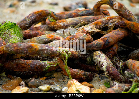 Rusty old anchor chain on a shingle beach covered with green seaweed and sand. Stock Photo