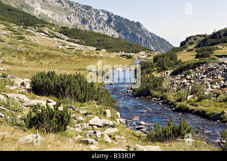 Scenic of Banderitsa river in World Heritage Site Pirin National Park Bulgaria Stock Photo