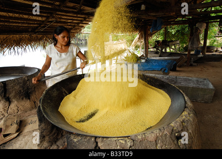 Woman making farinha in the Amazon Stock Photo