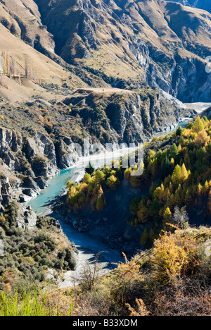 Autumn trees line the Shotover River in Skippers Canyon, Central Otago Stock Photo