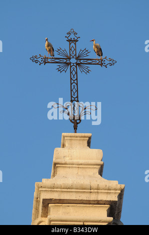 European White Storks CICONIA CICONIA alight and perch on cross above the Cathedral Catedral Valladolid Spain Stock Photo