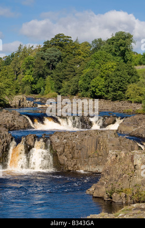 Low Force Waterfall - a famous and picturesque set of small waterfalls on the River Tees in County Durham Stock Photo