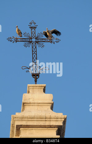 European White Storks CICONIA CICONIA alight and perch on cross above the Cathedral Catedral Valladolid Spain Stock Photo