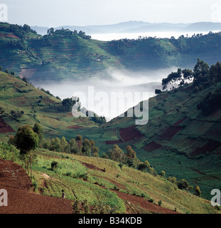 Uganda, Southwest Uganda, Kisoro. Mist hugs the bottom of a valley in the early morning.The beautiful hill-country of Southwest Stock Photo