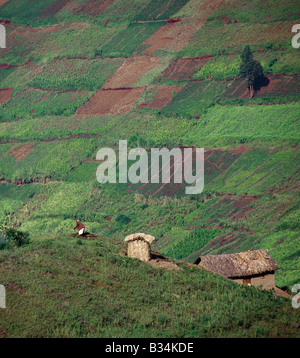 Uganda, Southwest Uganda, Kisoro. The beautiful hill-country of Southwest Uganda and Rwanda supports one of the highest human population densities in Africa. Consequently, every square inch of this fertile volcanic land is tilled and crudely terraced on steep hill slopes to prevent erosion. Blessed with good rainfall, almost every conceivable crop is grown. Stock Photo