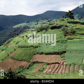 Uganda, Southwest Uganda, Kisoro. The beautiful hill-country of Southwest Uganda and Rwanda supports one of the highest human population densities in Africa. Consequently, every square inch of this fertile volcanic land is tilled and crudely terraced on steep hill slopes to prevent erosion. Blessed with good rainfall, almost every conceivable crop is grown. Stock Photo