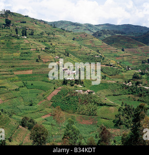 Uganda, Southwest Uganda, Kisoro. The beautiful hill-country of Southwest Uganda and Rwanda supports one of the highest human population densities in Africa. Consequently, every square inch of this fertile volcanic land is tilled and crudely terraced on steep hill slopes to prevent erosion. Blessed with good rainfall, almost every conceivable crop is grown. Stock Photo