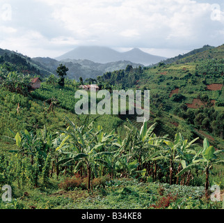 Uganda, Kisoro, Lake Mutanda. The beautiful hill-country of Southwest Uganda and Rwanda supports one of the highest human population densities in Africa. Consequently, every square inch of this fertile volcanic land is tilled and crudely terraced on steep hill slopes to prevent erosion. Blessed with good rainfall, almost every conceivable crop is grown.The mountains in the background, partially hidden in cloud, are Muhavura and Mgahinga - the two most easterly volcanoes of the Virunga chain, which straddle the Uganda-Rwanda border. Stock Photo