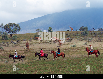 Kenya, Naivasha District, Longonot Ranch  . Game viewing on horseback on the plains close to the foothills of Mount Longonot. Stock Photo