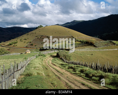 Kenya, Kapenguria, Cherangani Hills. A small dirt road winds its way through fine farming country at the top of the 11,000-feet-high Cherangani Hills. There, small-scale Pokot farmers grow maize, potatoes and pyrethrum, and keep livestock. Stock Photo