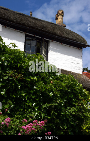 Pretty house in Mars Hill Way in village of Lynmouth, Devon, England Stock Photo