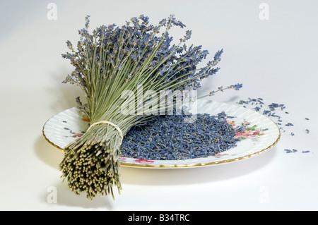 Bunch of Lavender stems and flowers on a plate Stock Photo