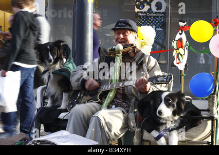 Busker with Dogs Stock Photo