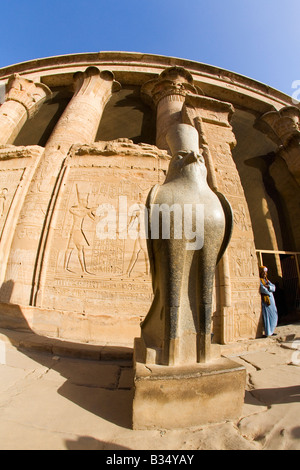 Falcon of Horus statue and egyptian man Temple of Horus Edfu Egypt North Africa Stock Photo