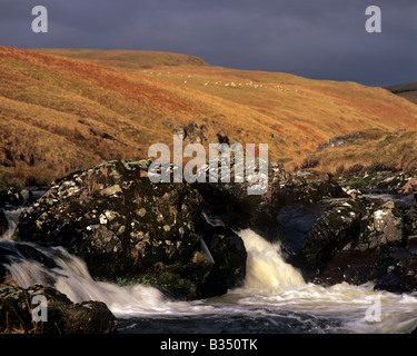 The River Coquet cascades through the Cheviot Hills in Northumberland National Park, England Stock Photo