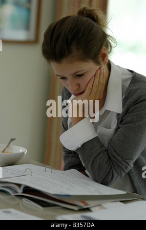 Teenager girl revising for GCSE exams student studying at home Stock ...