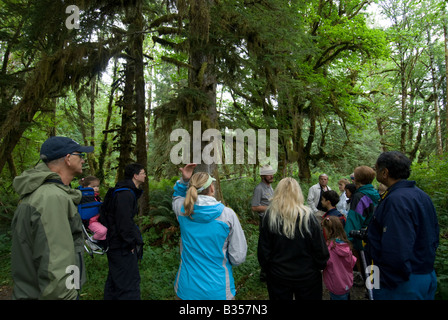 A National Park Ranger gives an interpretive walk along the Maple Glen trail in Olympic National Park's Quinault rainforest. Stock Photo